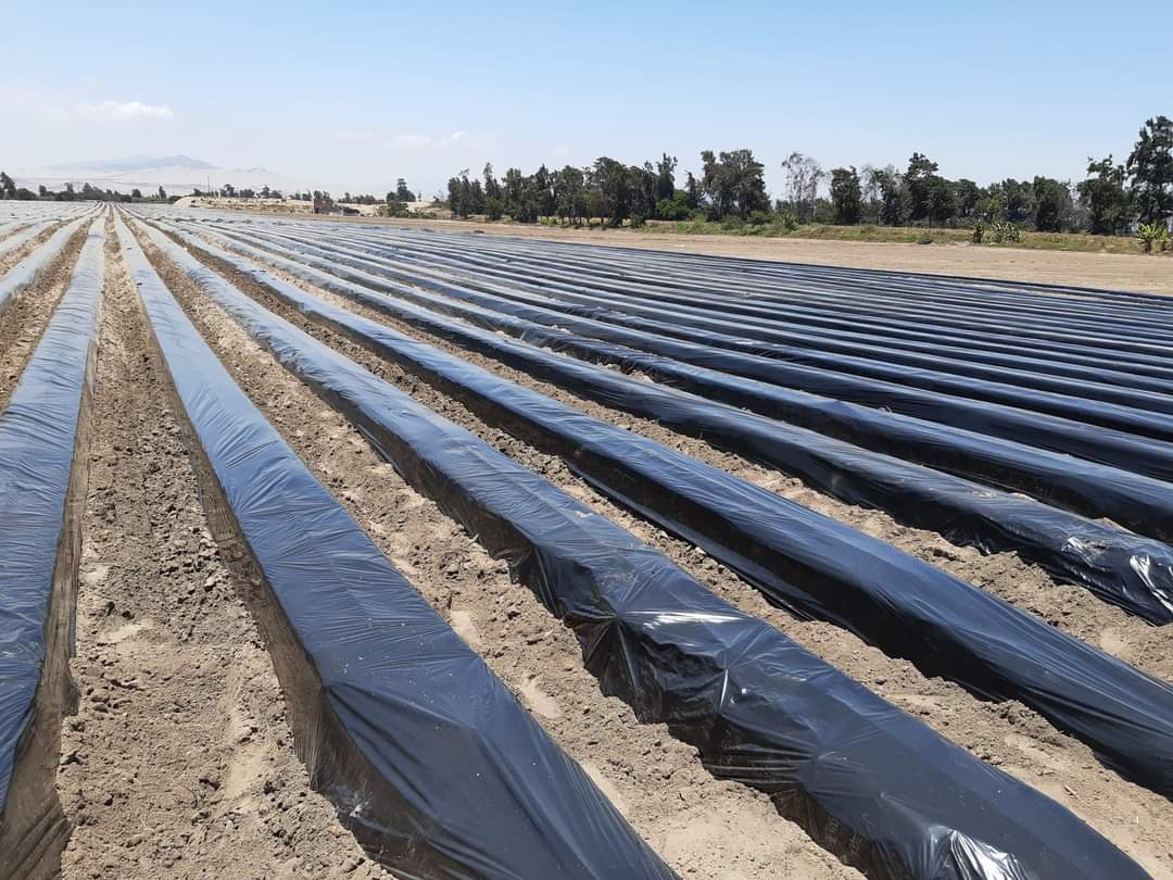 Çilek üreticilerine sırt hazırlama makinesi kazandırıldı 